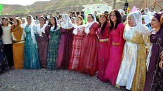 HDP'li Irmak: Kürt halkının direnişi, devleti adım atmaya zorladı