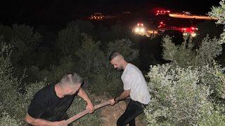 Gaziantep'te orman yangınında meşelik alan zarar gördü