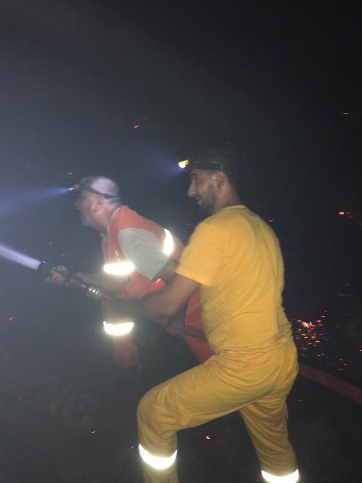 Gaziantep'te orman yangınında meşelik alan zarar gördü G2