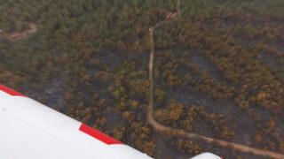 Manisa'daki orman yangını devam ediyor! Tehlikeli durum ortadan kalktı