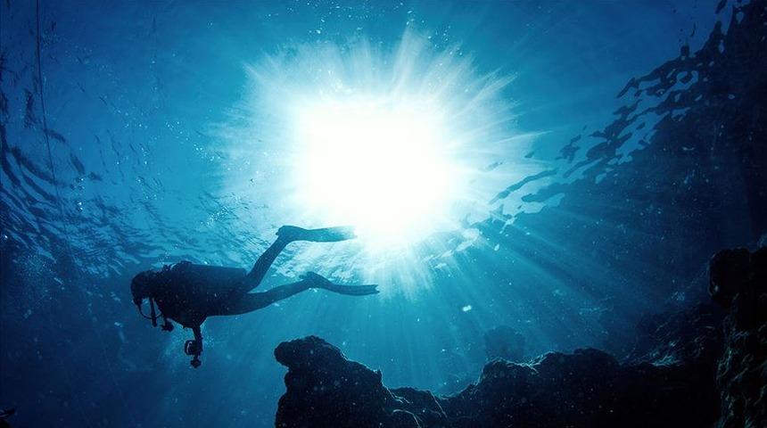 Türkiye'nin bir yazını kâbusa çevirmişti! Yeni keşifler sevindirdi: Geri dönüyorlar