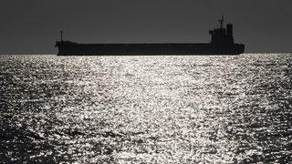 Tahıl taşıyan 4 gemi daha Ukrayna limanlarından hareket etti