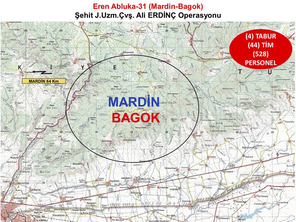 Mardin'de, Eren-Abluka-31 operasyonu başlatıldı