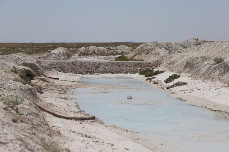 Tuz Gölü'ndeki flamingolar için 4 kilometreden su aktarımı başladı G4