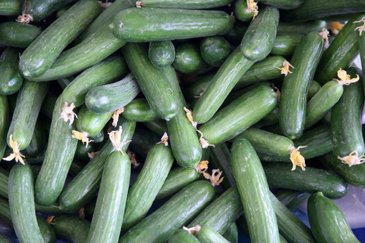 Kayseri'de "Yüzde 100 Ekolojik Pazar" 10. kez açıldı G5