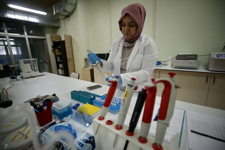 Fındığın "DNA"sını çıkaran akademisyenler "tek ağaç" modeliyle verim artışı hedefliyor G5