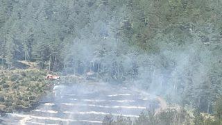 Bursa'da çıkan 2 orman yangını söndürüldü