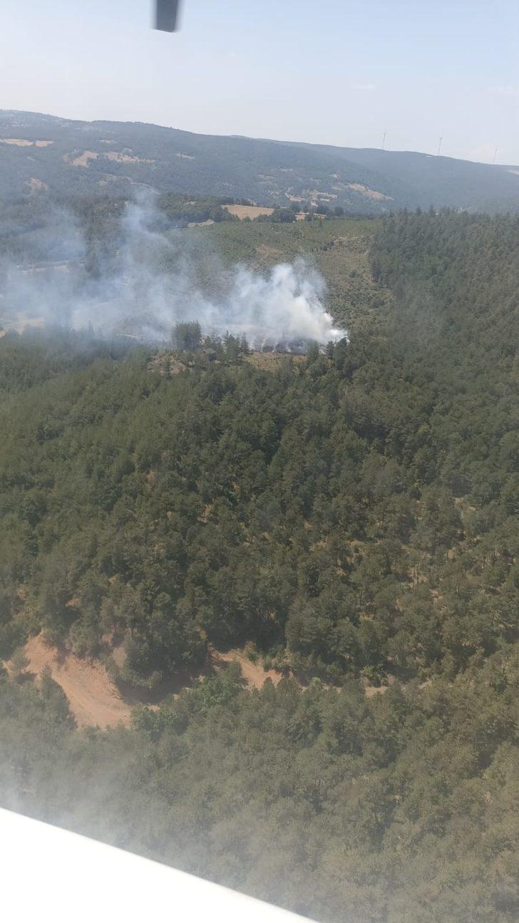 Bursa'da çıkan 2 orman yangını söndürüldü G2