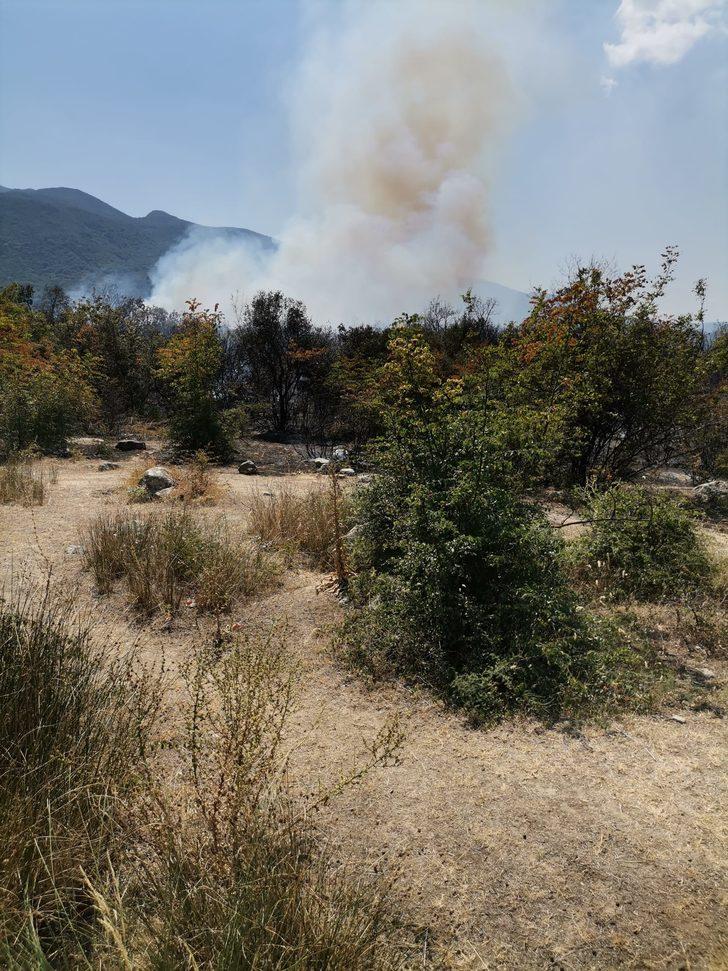 Bursa'da çıkan 2 orman yangını söndürüldü G3