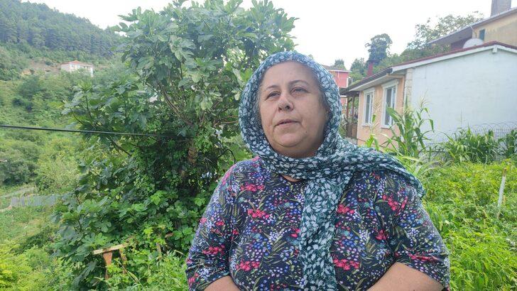 İstanbul'da da görülen "vampir kelebek" vatandaşları rahatsız ediyor G4