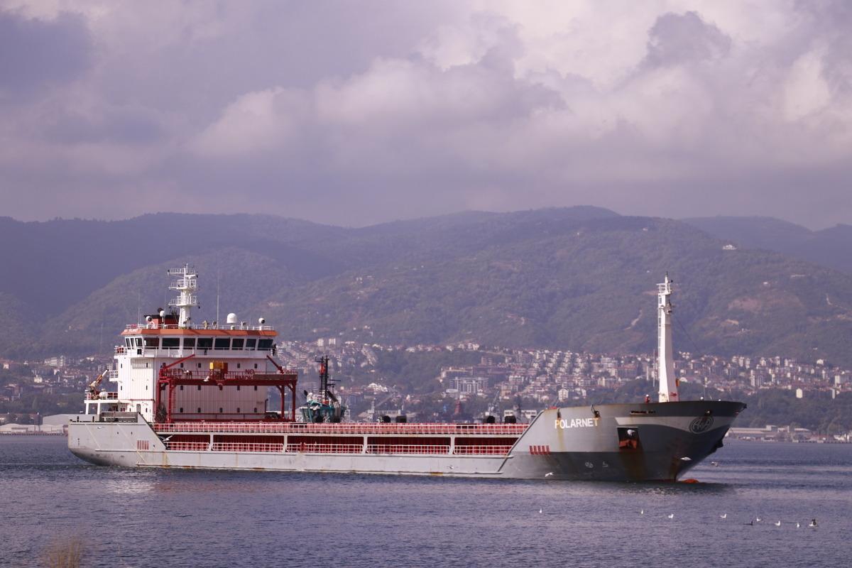 Ukrayna'dan gelen mısır y&uuml;kl&uuml; gemi "Polarnet" Derince Limanı'na ulaştı