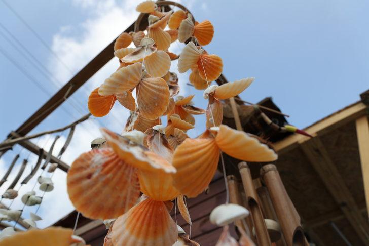 Deniz kabuklarını süs eşyasına dönüştürüyor G2