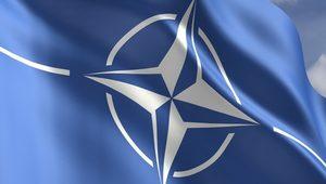 NATO: Terör asla hoş görülemez