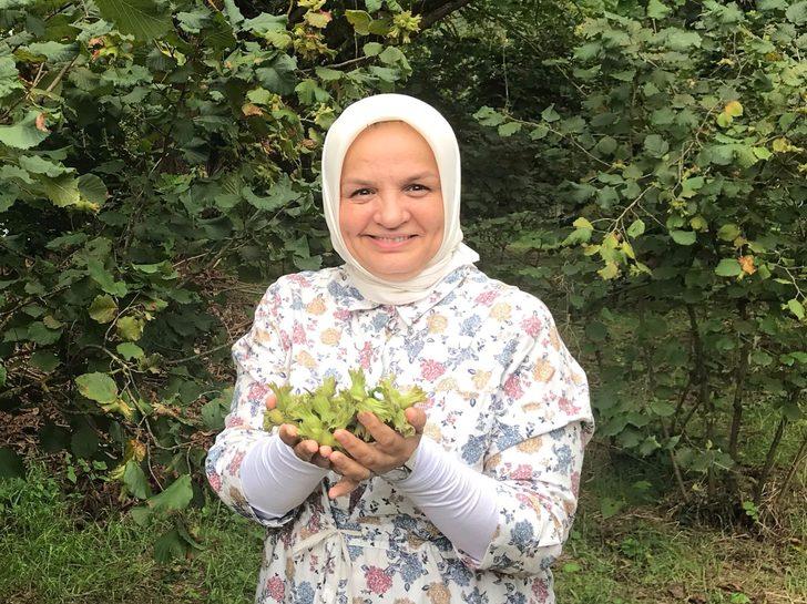AK Parti'li Keşir'den fındığı değerinde satmak için hasadın beklenmesi önerisi: G2