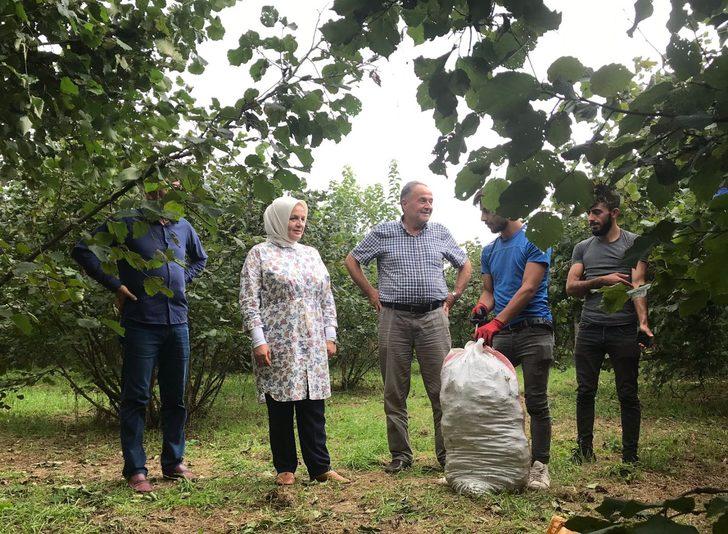 AK Parti'li Keşir'den fındığı değerinde satmak için hasadın beklenmesi önerisi: G3