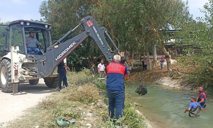 Osmaniye'de sulama kanalına düşen inek, kepçe yardımıyla kurtarıldı G4