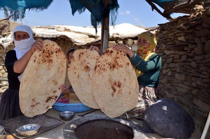 Muş'ta yaylaya çıkan kadınların zorlu mesaisi sürüyor G4