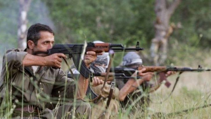 PKK yol kesip polis kaçırdı