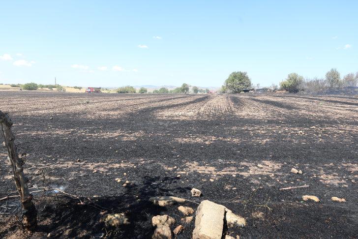 Kırklareli'nde cezaevine yakın alanda çıkan anız yangını söndürüldü G1