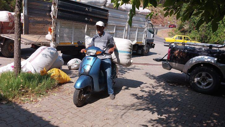 Muğla'da hasat edilen kekik, adaçayı ve harnup ihaleyle satıldı G5