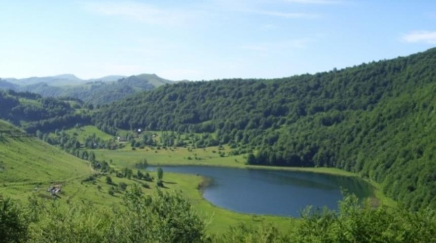 Ağa&ccedil;ların k&uuml;resel ısınmaya duyarlılığı azaldı