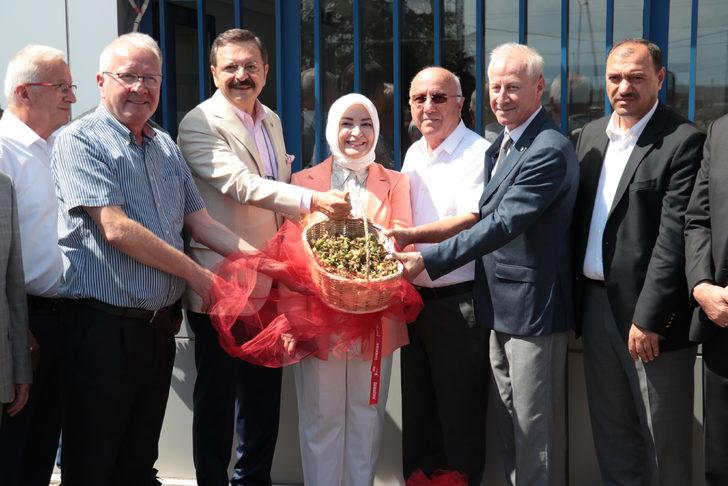 Sakarya'da ilk fındık alımı gerçekleştirildi G4