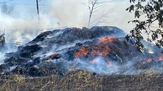 Tekirdağ'da evlere yakın bölgedeki samanlık yangınında 20'ye yakın koyun telef oldu