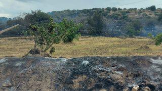 Aydın'da zeytin bahçesinde çıkan yangın söndürüldü