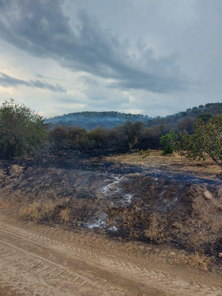 Aydın'da zeytin bahçesinde çıkan yangın söndürüldü G4