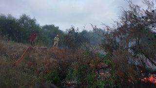 Adana'da otluk alanda çıkan yangın söndürüldü