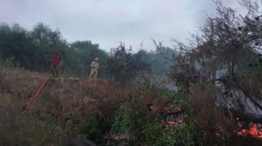 Adana'da otluk alanda çıkan yangın söndürüldü