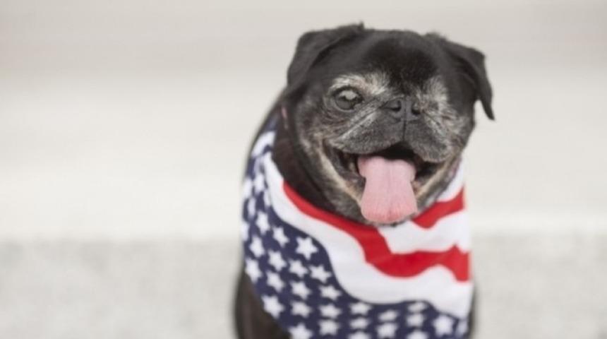 ABD başkanlığına 's&uuml;rpriz' aday