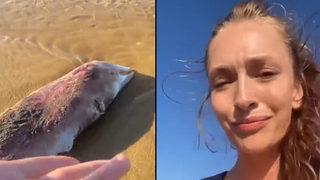 Yasemin Kay Allen, Kilyos sahilindeki görüntülere isyan etti:  En ağır cezaları alması gerekiyor