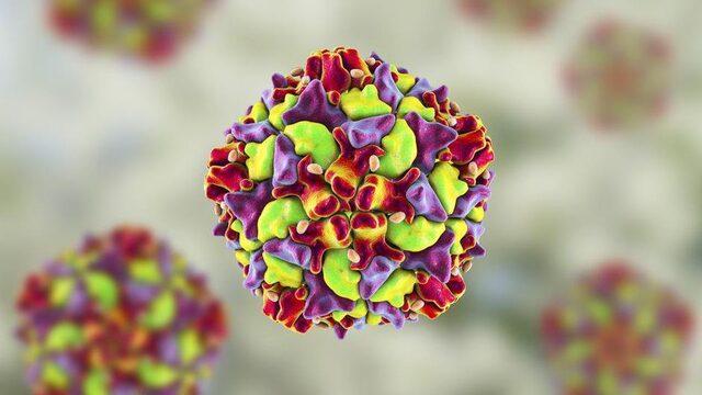 New York'ta tespit edilmemiş binlerce çocuk felci vakası olabilir