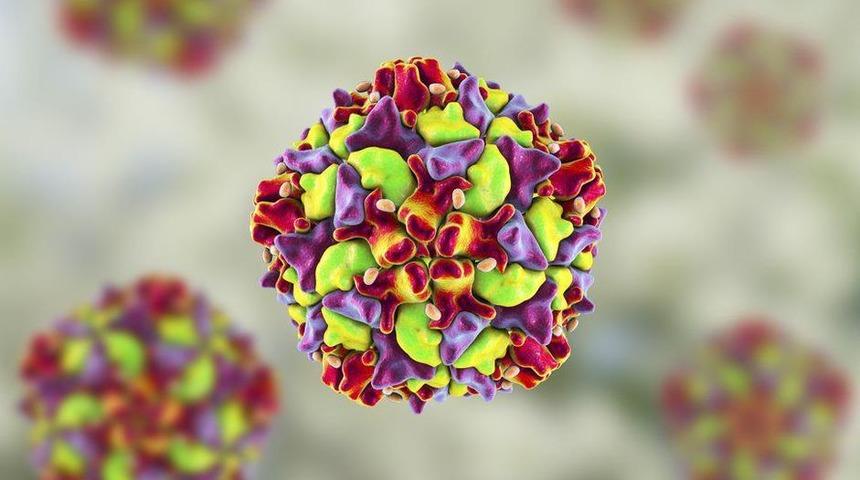 New York'ta tespit edilmemiş binlerce çocuk felci vakası olabilir