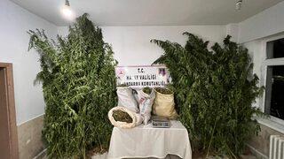 Hatay'da 40 kilogram esrar ve 350 kök Hint keneviri ele geçirildi