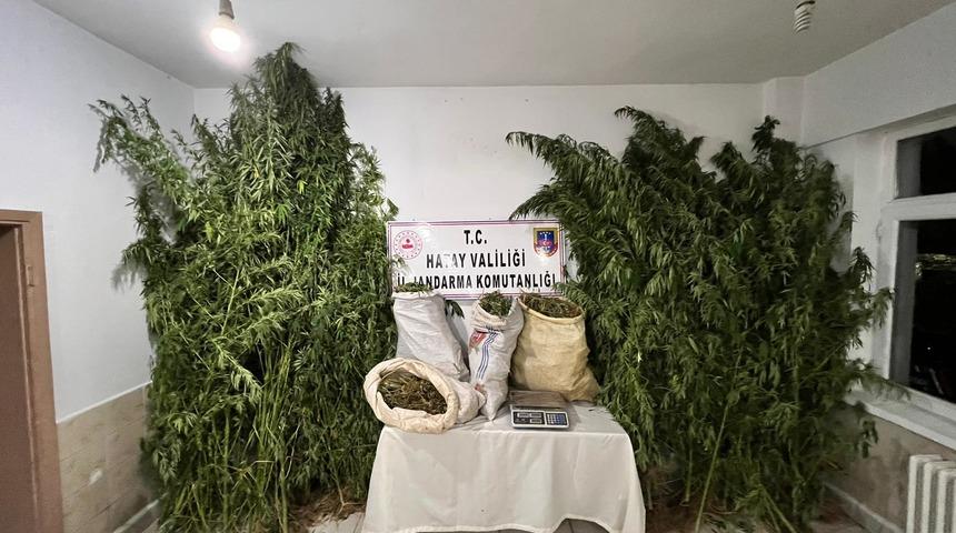 Hatay'da 40 kilogram esrar ve 350 kök Hint keneviri ele geçirildi