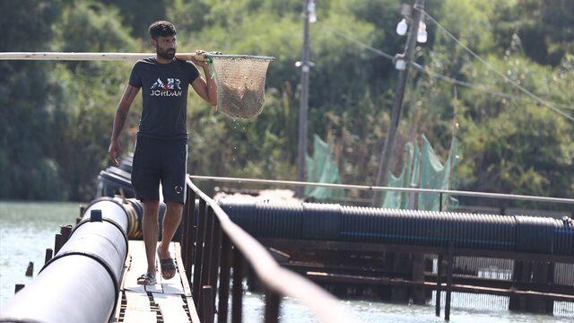 Böcek olarak biliniyordu! Yurt dışından yoğun talep var! Kilosu 12 euro...