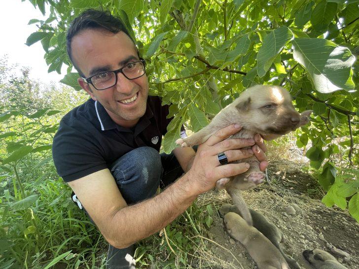 Toprak altından kurtarılan köpek ve 7 yavrusunun yeni yuvası elma bahçesi oldu G2