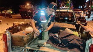 Bolu'da yaralı bulunan geyik tedavi edildi