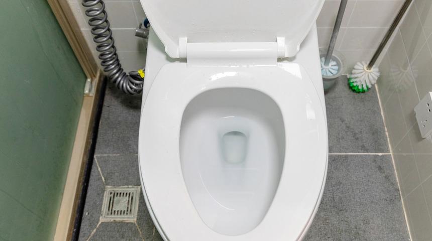 Klozet kapağından kat kat daha kirli! Dehşete düşeceksiniz