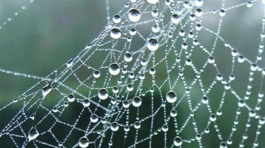 Kurşun ge&ccedil;irmez &ouml;r&uuml;mcek ağı