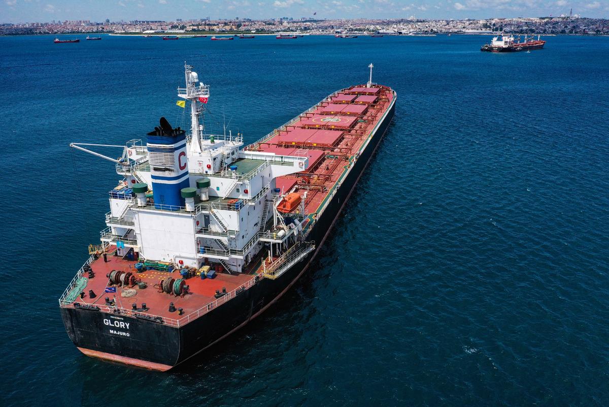 Ukrayna'dan gelen iki gemide denetim yapıldı