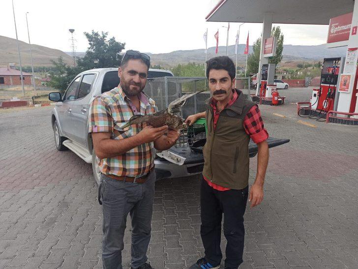 Tedavisi tamamlanan yeşilbaş ördek doğal ortamına bırakıldı G1