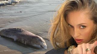 Yasemin Kay Allen Kilyos sahilini paylaşıp isyan etmişti! Belediye harekete geçti