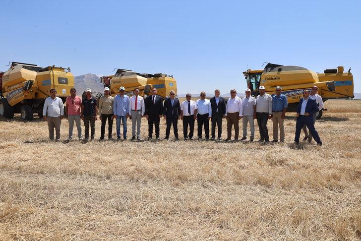Sivas'ta alternatif yem bitkisi tritikalenin hasadına başlandı G1