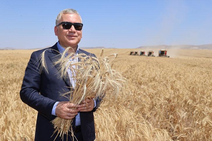 Sivas'ta alternatif yem bitkisi tritikalenin hasadına başlandı G5