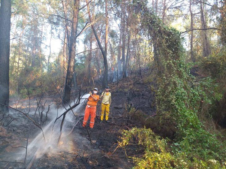 Antalya'da çıkan orman yangını havadan ve karadan müdahaleyle söndürüldü G3