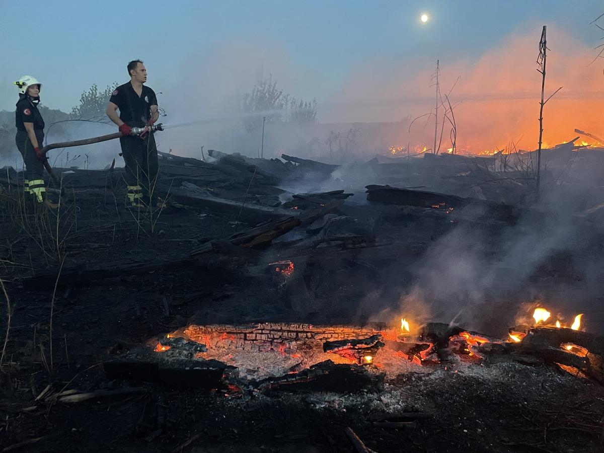 Edirne'de otluk alanda &ccedil;ıkan yangın ormana sı&ccedil;ramadan kontrol altına alındı