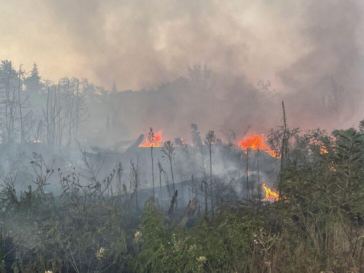 Edirne'de otluk alanda çıkan yangın ormana sıçramadan kontrol altına alındı G3